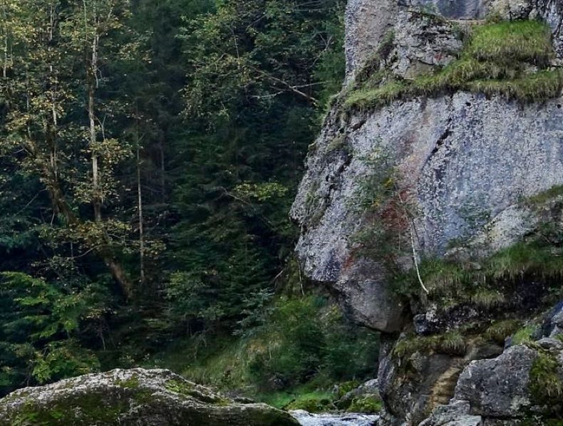 Tier im Felsgestein (C) Krystyna Martin